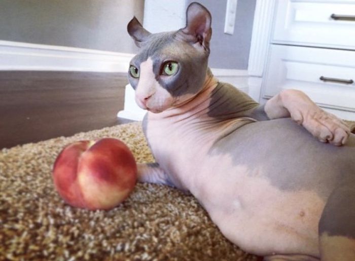 Acid Picdump (138 pics)