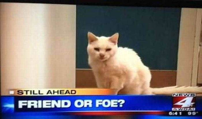 Acid Picdump (138 pics)