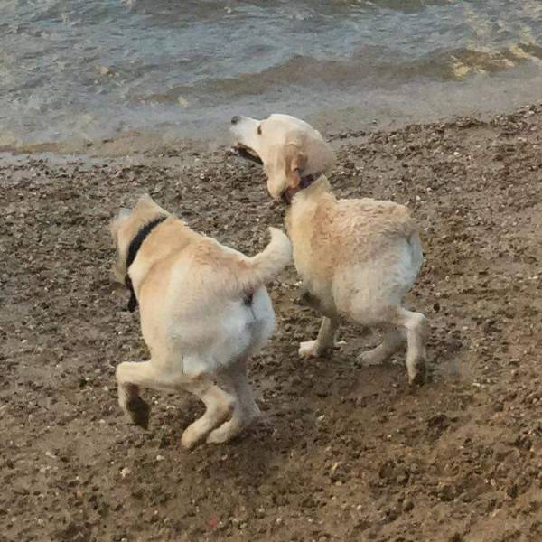 Acid Picdump (138 pics)