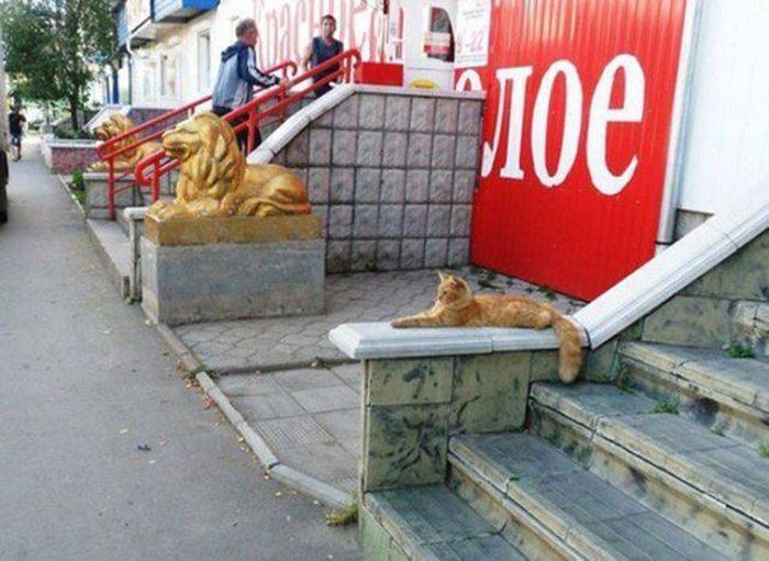 Acid Picdump (138 pics)