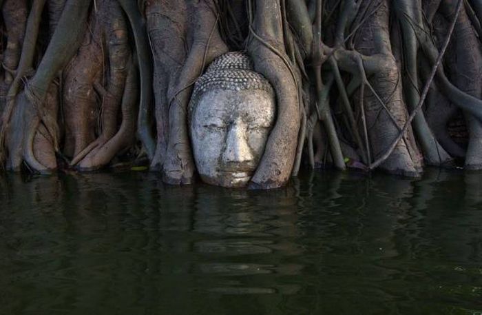 Acid Picdump (138 pics)