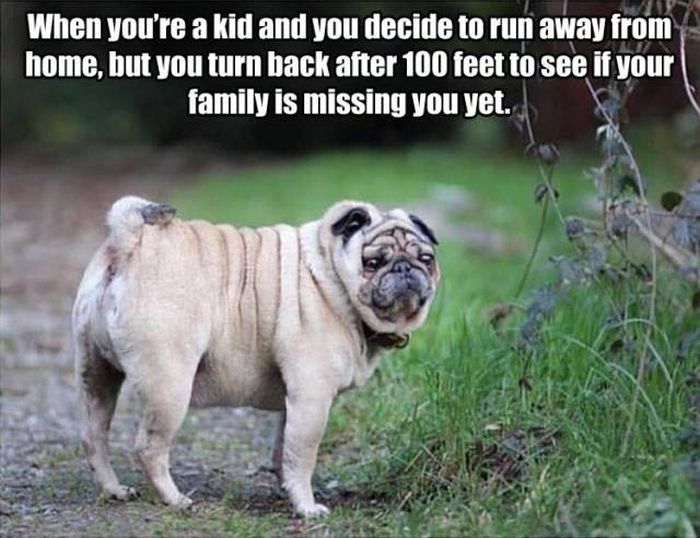 Acid Picdump (138 pics)