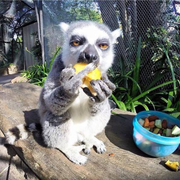 Acid Picdump (138 pics)