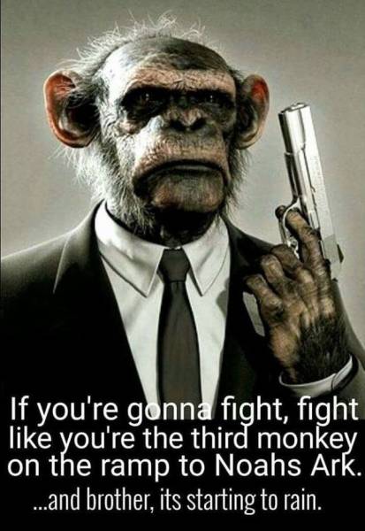 Acid Picdump (138 pics)
