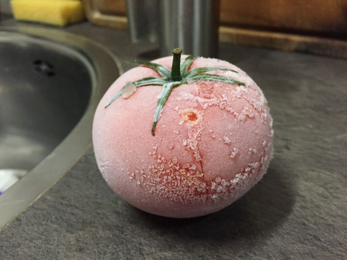 What Happens When You Let A Frozen Tomato Sit For Hours (7 pics)