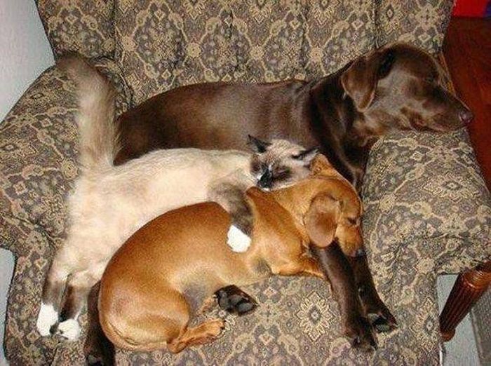 Acid Picdump (126 pics)