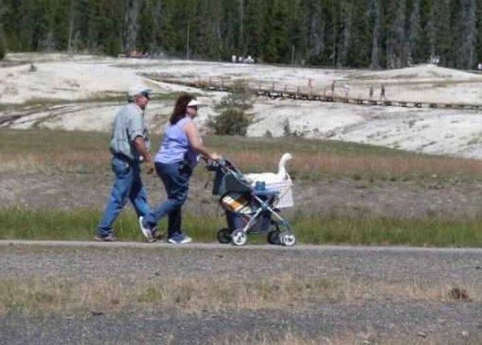 Acid Picdump (126 pics)
