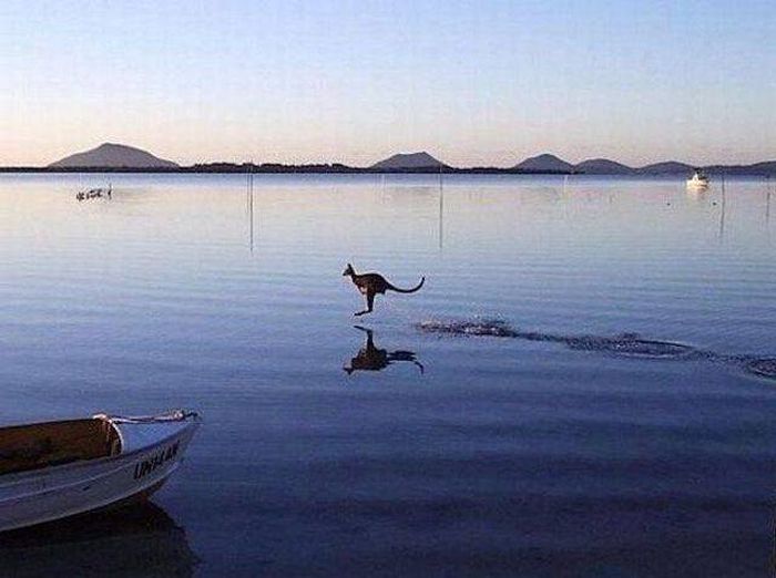 Acid Picdump (126 pics)