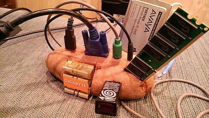 Acid Picdump (126 pics)
