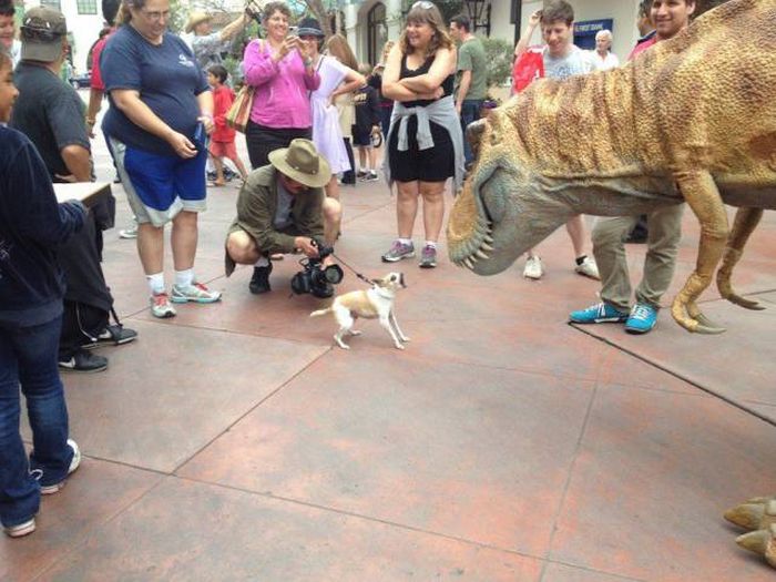 Acid Picdump (126 pics)