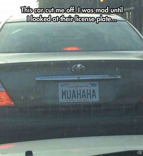 Acid Picdump (126 pics)