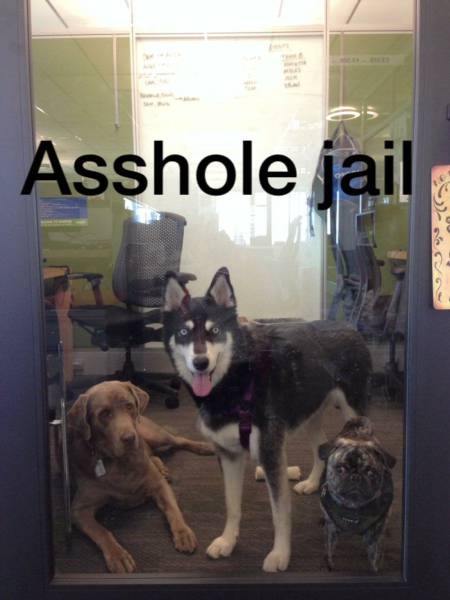 Acid Picdump (126 pics)