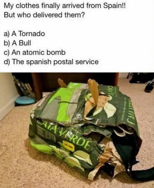 Acid Picdump (126 pics)