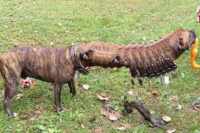 Failed Panorama Snaps That Will Mess With Your Head (47 pics)
