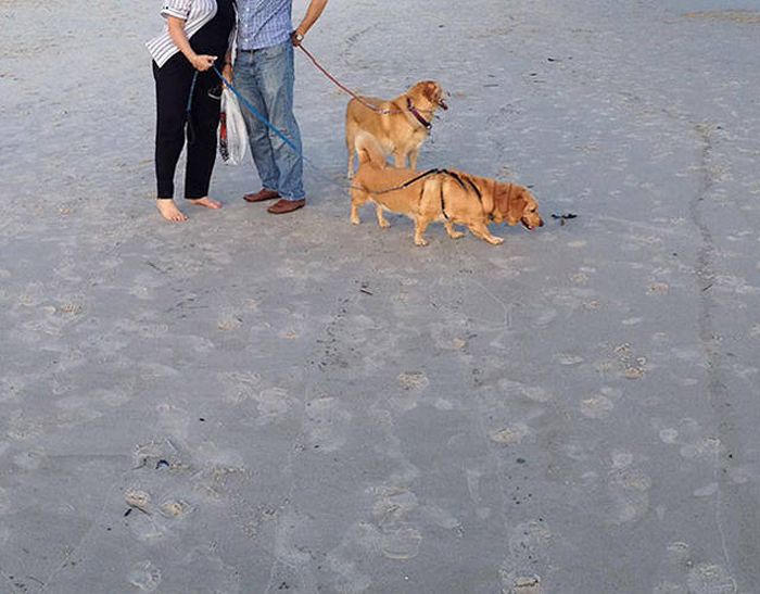 Failed Panorama Snaps That Will Mess With Your Head (47 pics)