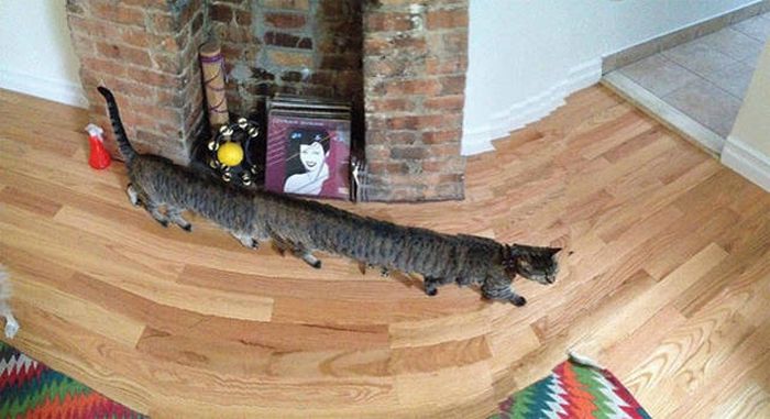 Failed Panorama Snaps That Will Mess With Your Head (47 pics)