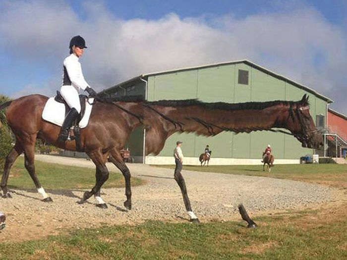 Failed Panorama Snaps That Will Mess With Your Head (47 pics)