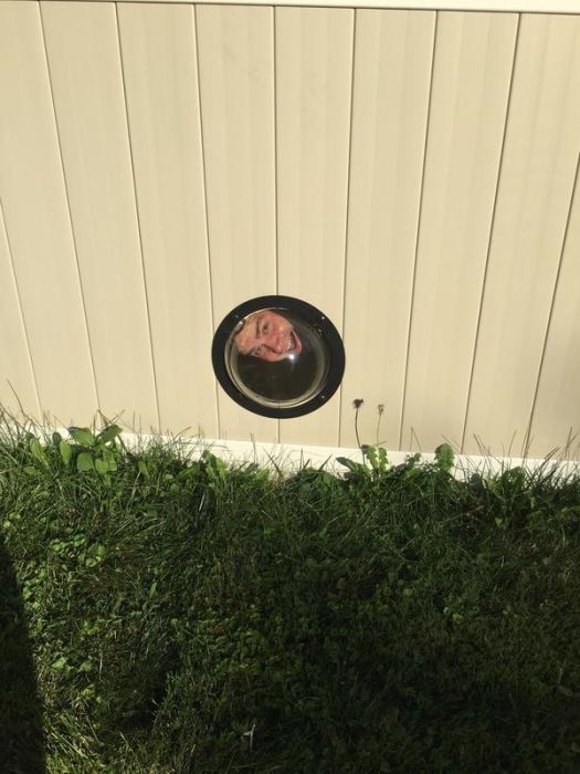 Porthole In Fence Gives Dogs A Window To The World (9 pics)
