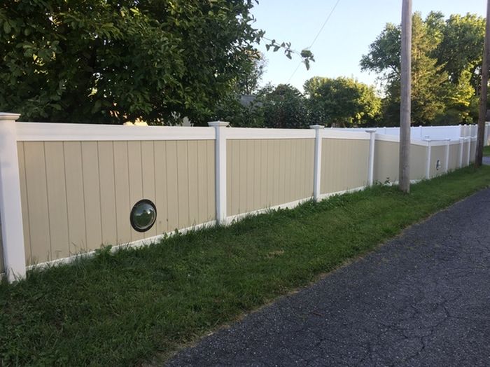 Porthole In Fence Gives Dogs A Window To The World (9 pics)