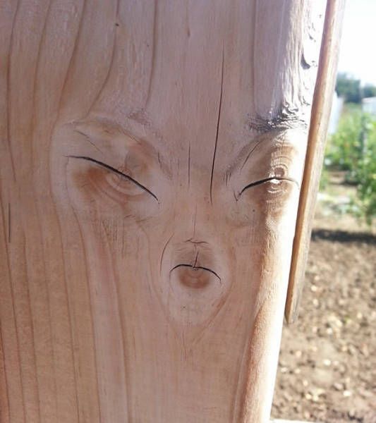 Acid Picdump (114 pics)