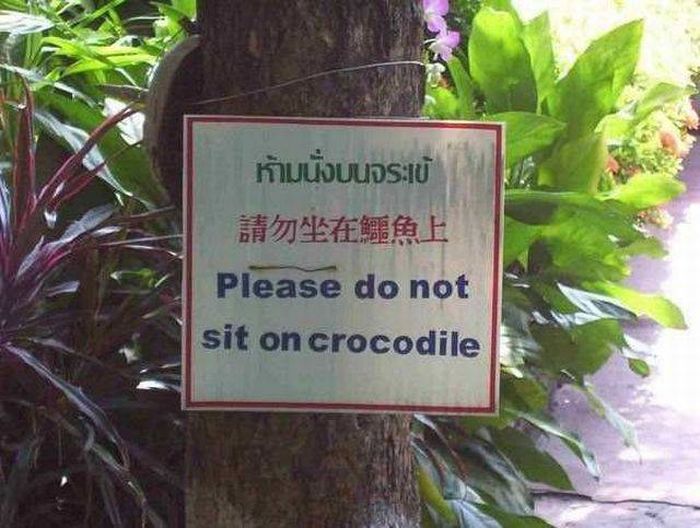 Acid Picdump (114 pics)
