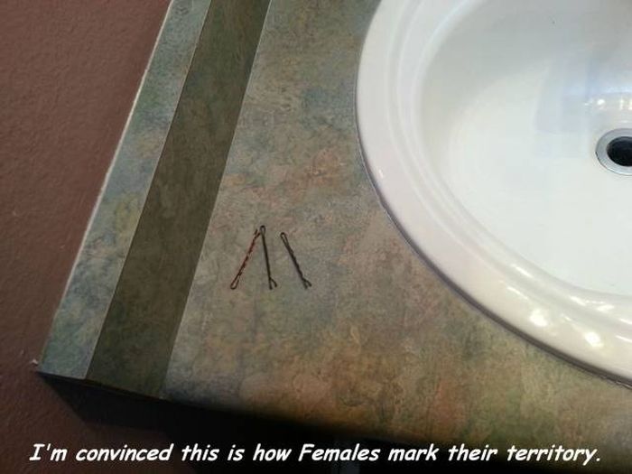 Acid Picdump (114 pics)