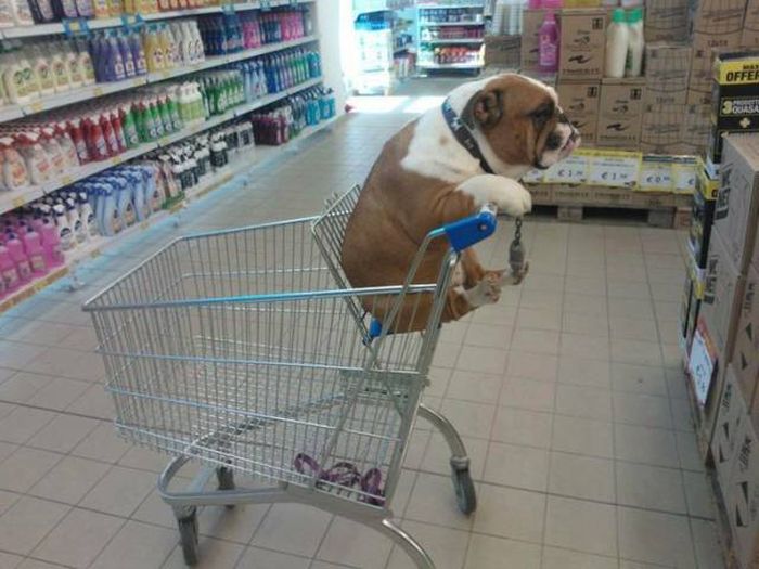 Acid Picdump (114 pics)