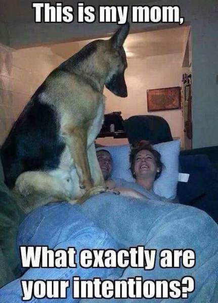 Acid Picdump (114 pics)