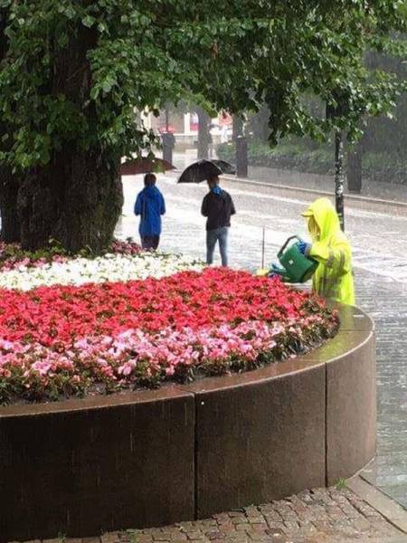 Acid Picdump (114 pics)