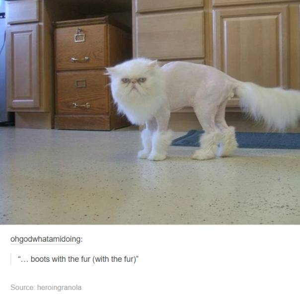 Acid Picdump (114 pics)