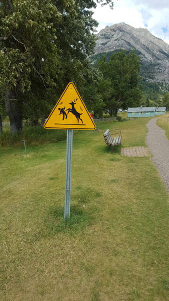 Acid Picdump (114 pics)