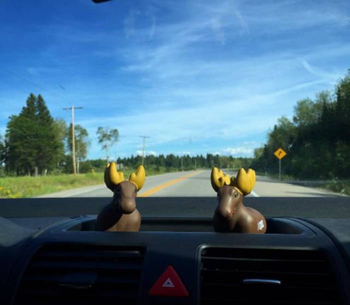  These Might Be The Most Canadian Things That Canada Has Ever Done (52 pics)