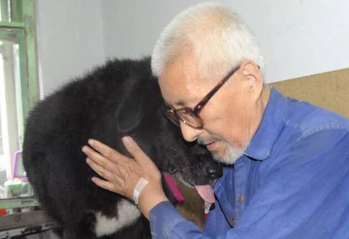 Old Man Leaves Life Savings To His Dog (3 pics)