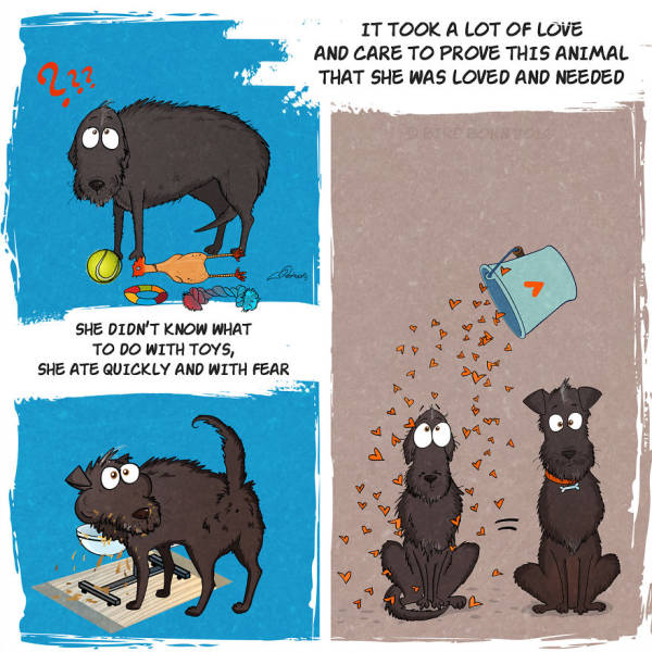 Awesome Comic Tells The True Story Of An Adopted Dog (14 pics)