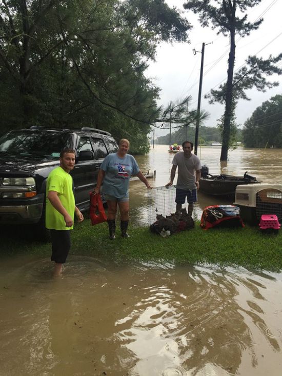 People Are Volunteering To Save Helpless Animals From Drowning In Louisiana (8 pics)