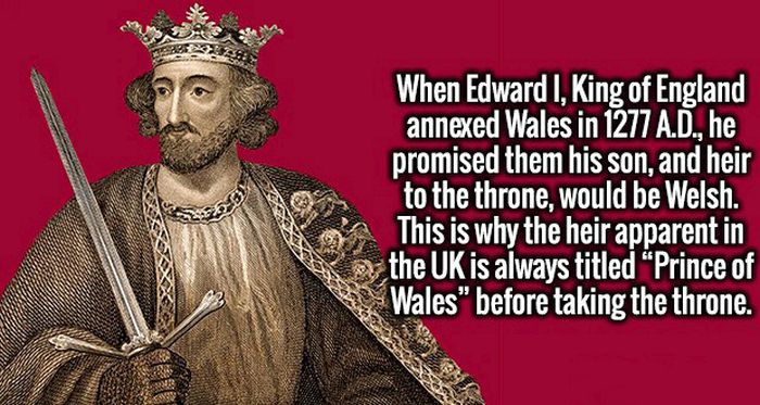 Great Facts Are An Excellent Cure For Ignorance (20 pics)