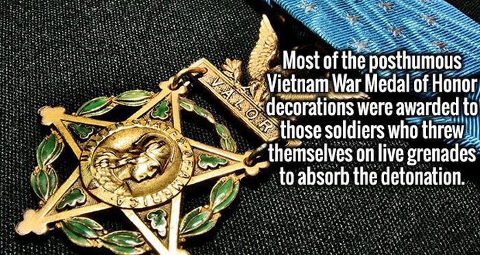 Great Facts Are An Excellent Cure For Ignorance (20 pics)