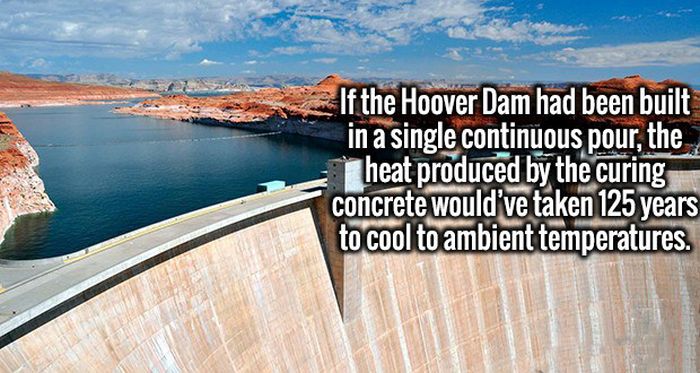 Great Facts Are An Excellent Cure For Ignorance (20 pics)