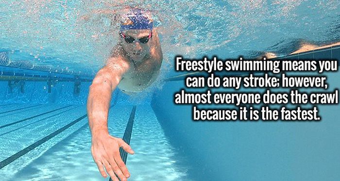 Great Facts Are An Excellent Cure For Ignorance (20 pics)