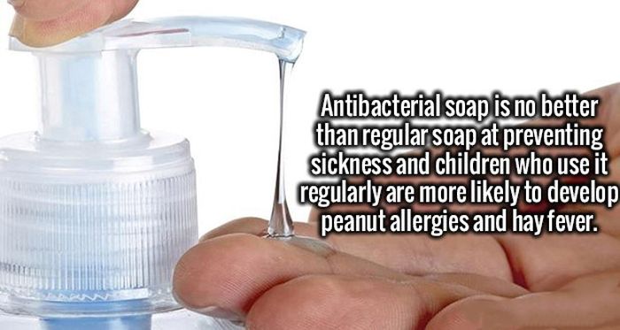Great Facts Are An Excellent Cure For Ignorance (20 pics)