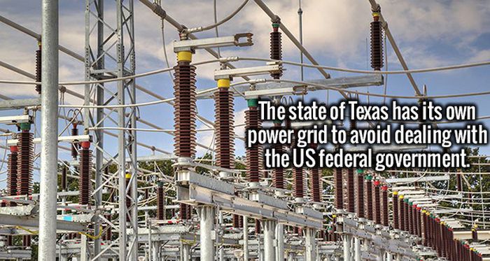 Great Facts Are An Excellent Cure For Ignorance (20 pics)