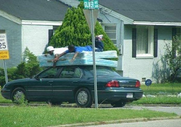 Proof That Human Stupidity Truly Knows No Limits (23 pics)