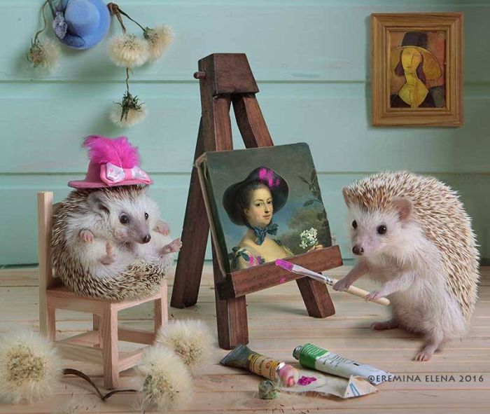 Photographer Exposes The Secret World of Hedgehogs (11 pics)