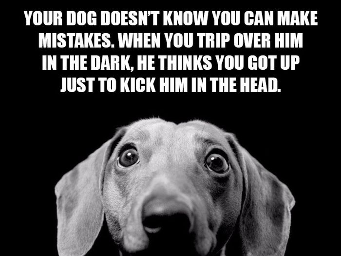 Provoking Shower Thoughts That Will Stimulate Your Brain (15 pics)