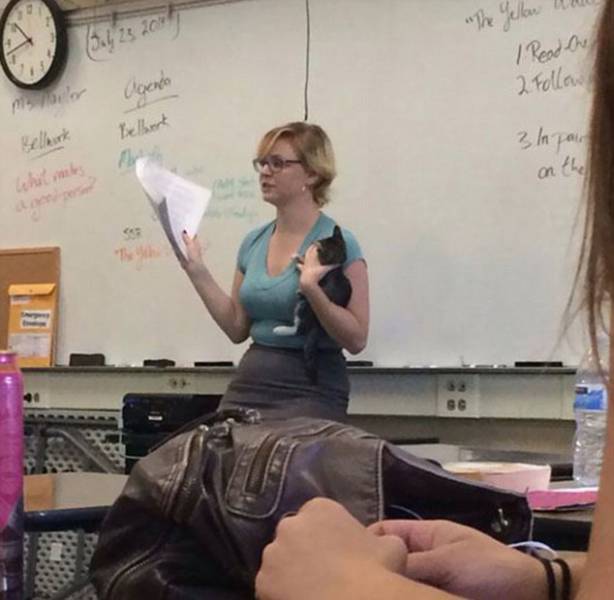 Let's Give It Up For All The Awesome Teachers That Make Learning Fun (35 pics)