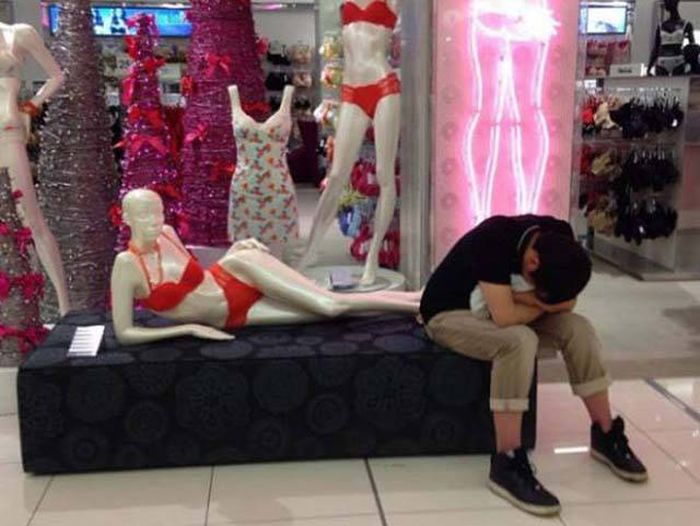 This World Is A Hilariously Tragic Place (53 pics)