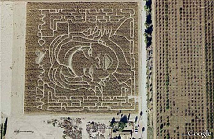 Unbelievable Discoveries That Were Made While Using Google Earth (11 pics)