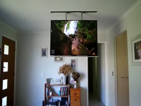 TV Ceiling