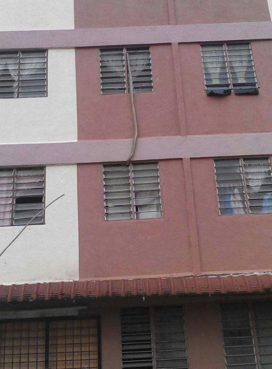 King Cobra Invades An Apartment In Malaysia (4 pics)