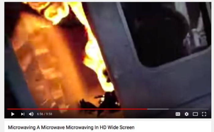21 Things You Definitely Shouldn’t Microwave, That People Put In The Microwave (21 pics)